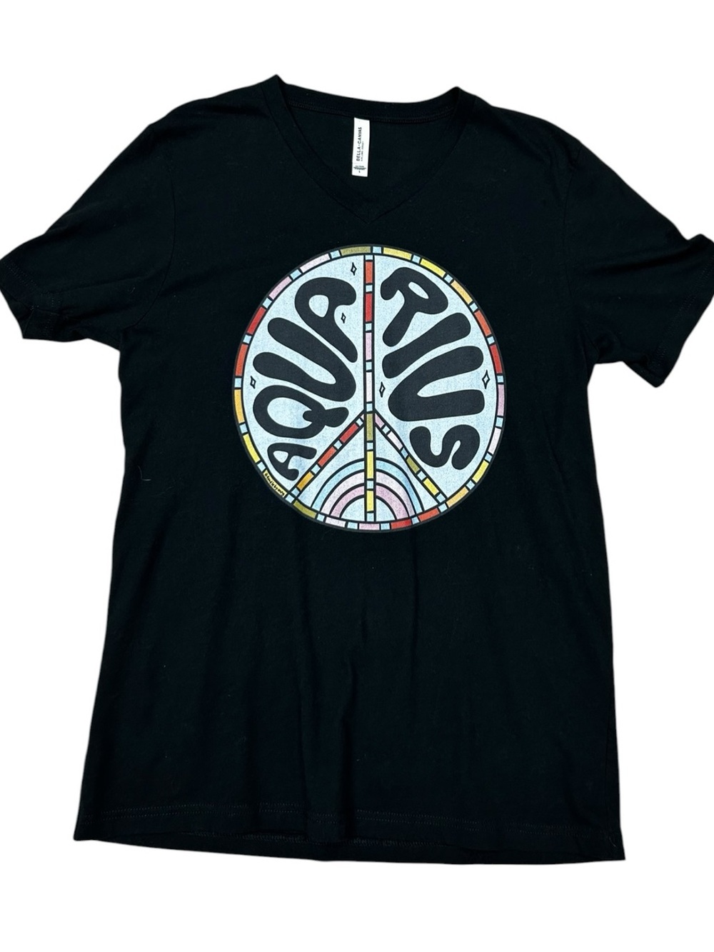 Bella Canvas Black Aquarius Graphic V-Neck Tee Large, Unique Zodiac Sign Tee